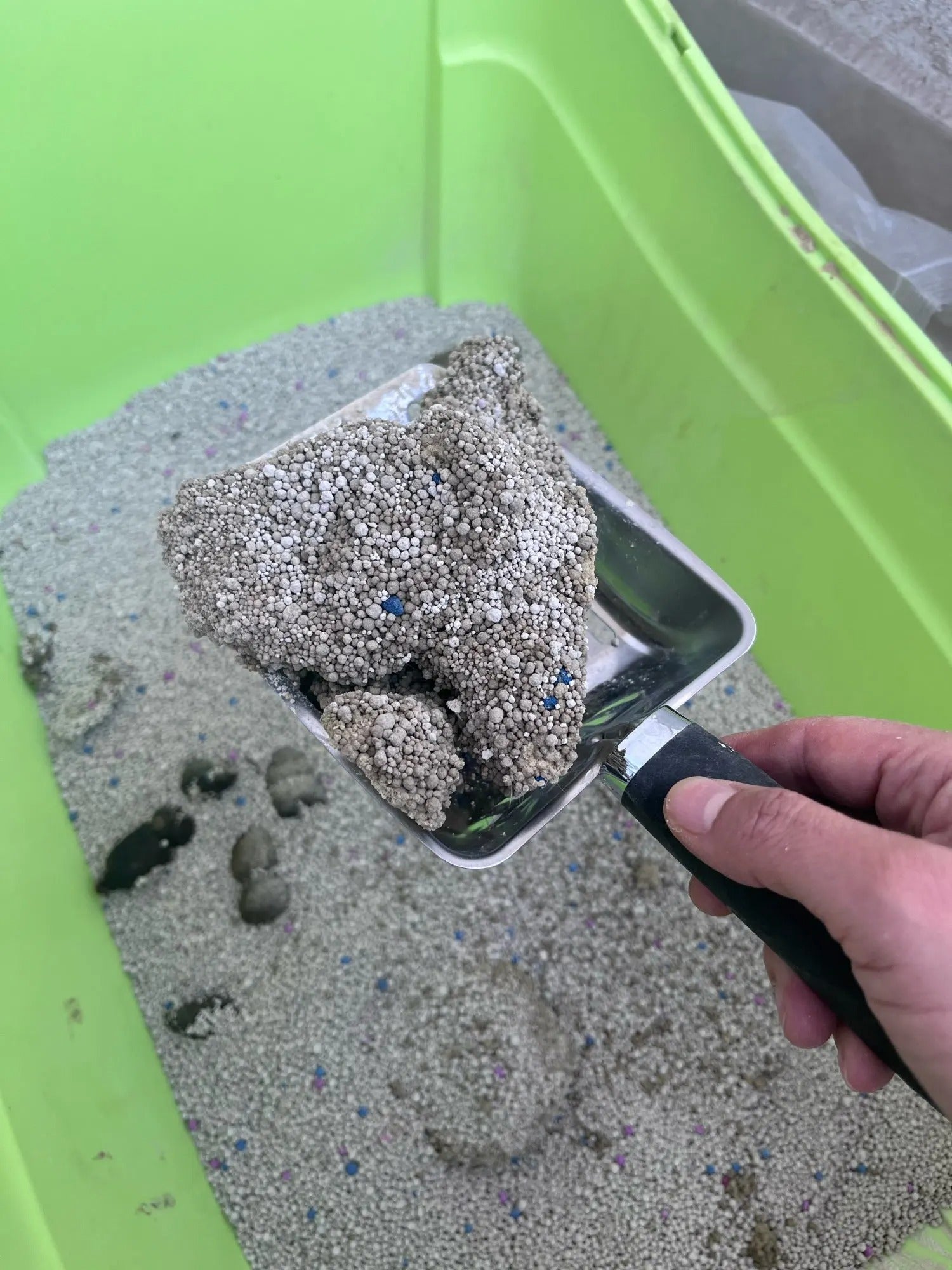 Stainless Steel Cat Litter Scoop with Long Ergonomic Handle, Durable Heavy-Duty Sifting Tool for Indoor Cats, Easy-Clean and Rust-Resistant Litter Box Accessory