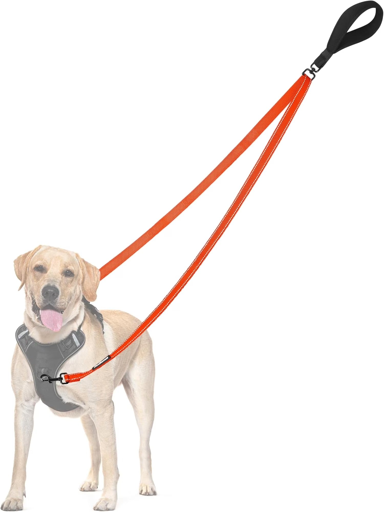 Two Point Dog Leash for No Pull Harnesses, Reflective Soft Padded Walking Lead, Anti-Tangle Dual Clip Leash Converts to Single Leash for Medium and Large Dogs, Durable Orange Dog Walking Leash for Day and Night Safety