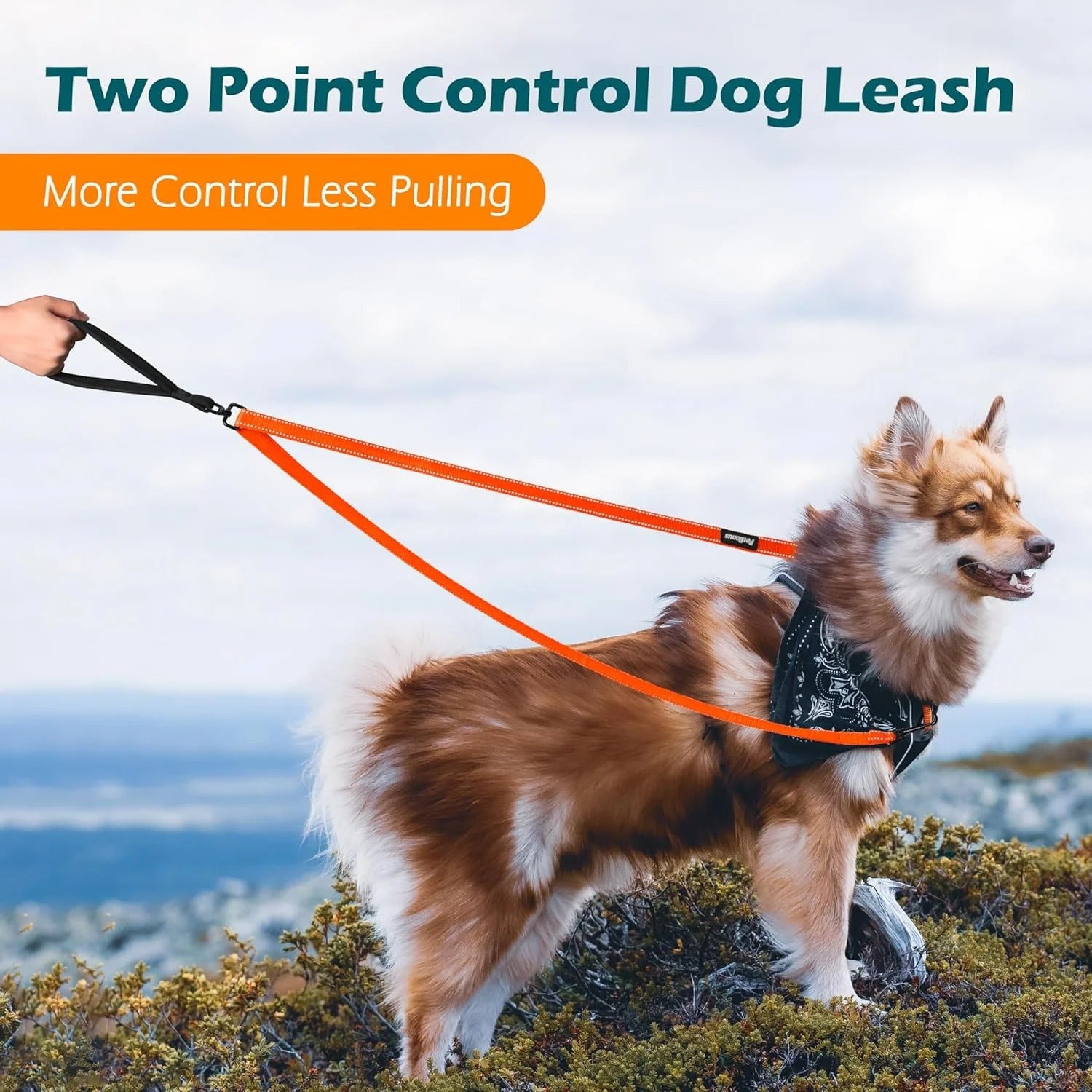 Two Point Dog Leash for No Pull Harnesses, Reflective Soft Padded Walking Lead, Anti-Tangle Dual Clip Leash Converts to Single Leash for Medium and Large Dogs, Durable Orange Dog Walking Leash for Day and Night Safety