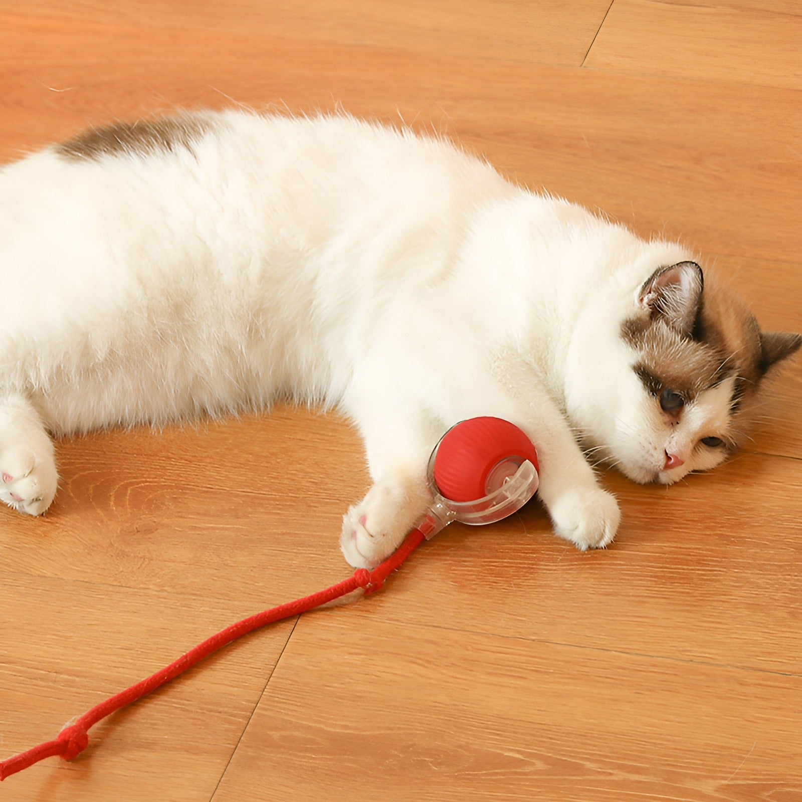 3-Pack Interactive Rechargeable Cat Toys for Indoor Cats, High-Energy Chase & Play, Automatic Moving Balls with Obstacle Avoidance, Sound-Activated Fun for Adult Cats and Kittens